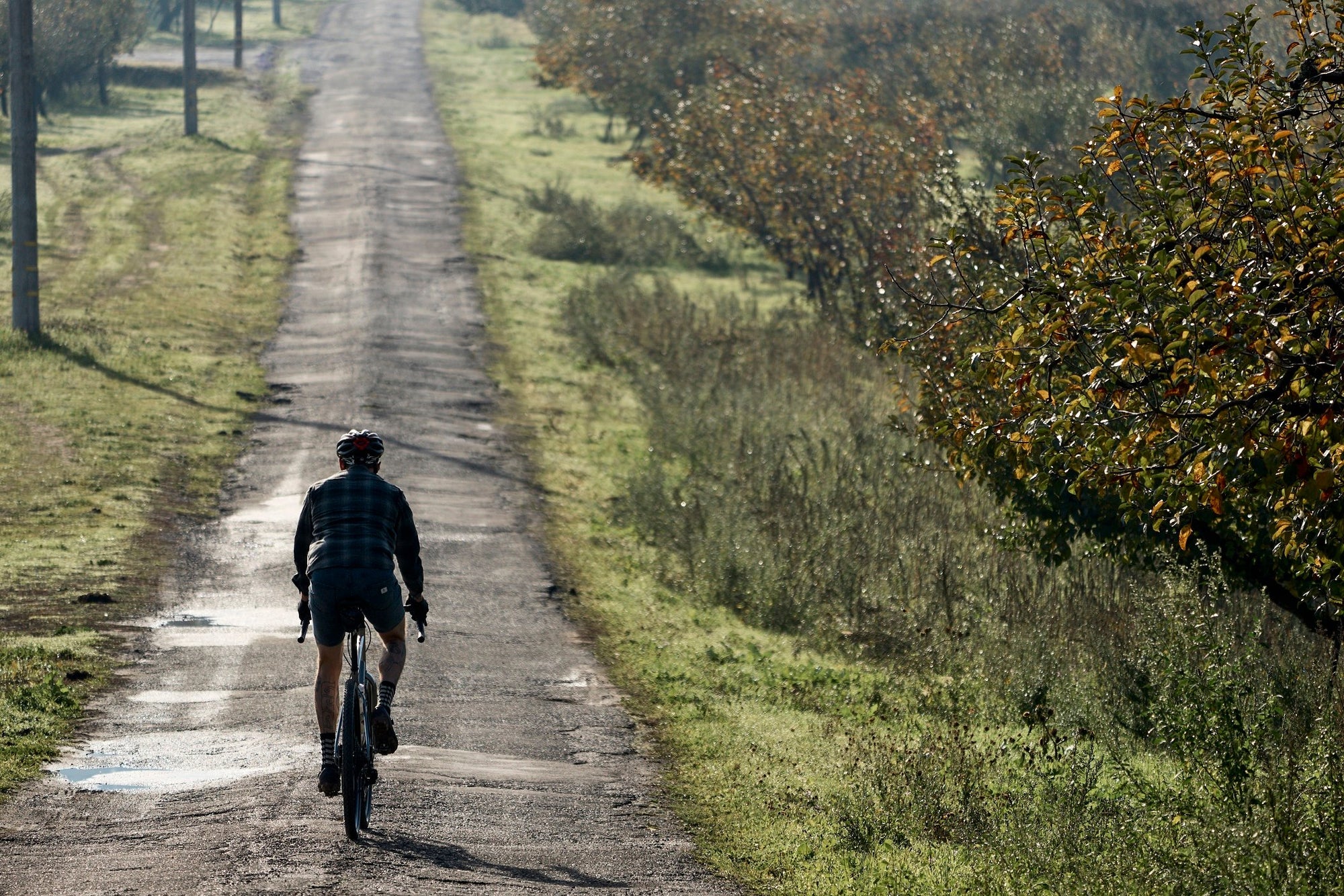 Marin Four Corners 2 - Silver