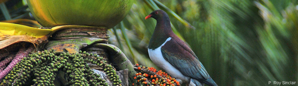 Bicycle Astride Turquoise Waterways