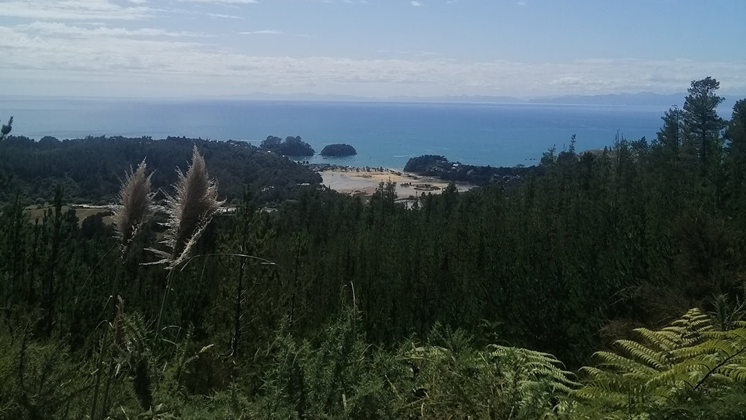 Nelson