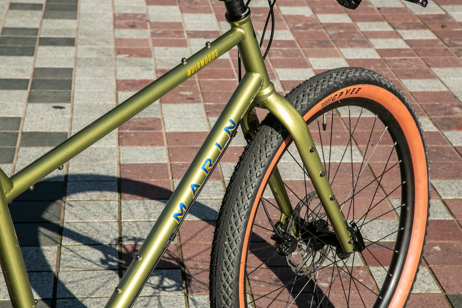 Marin Muirwoods - Gold