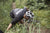 Tineli New Zealand MTB Jersey